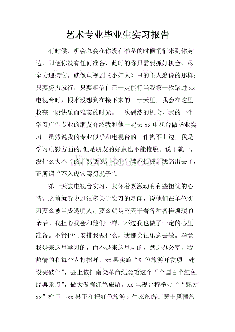 艺术专业毕业生实习报告