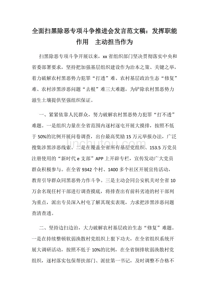 全面扫黑除恶专项斗争推进会发言范文稿:发挥