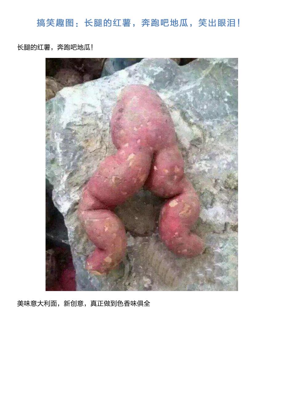 搞笑趣图长腿的红薯奔跑吧地瓜笑出眼泪