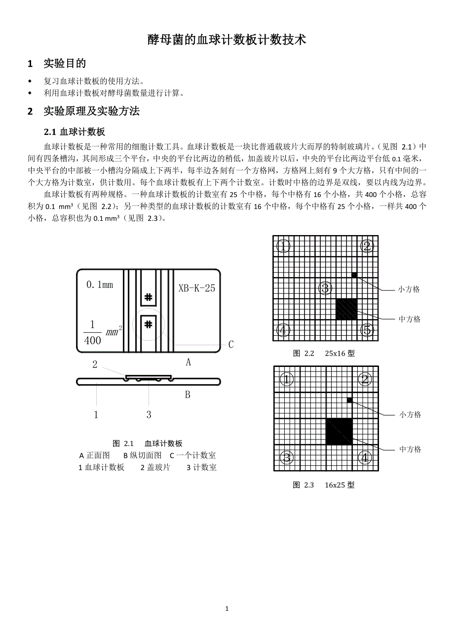 广工酵母菌血球计数板计数实验报告