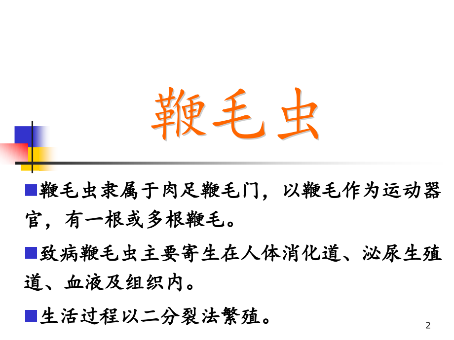 人体寄生虫学蓝氏贾第鞭毛虫阴道毛滴虫课件