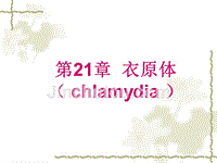 【医学ppt课件】衣原体(chlamydia )