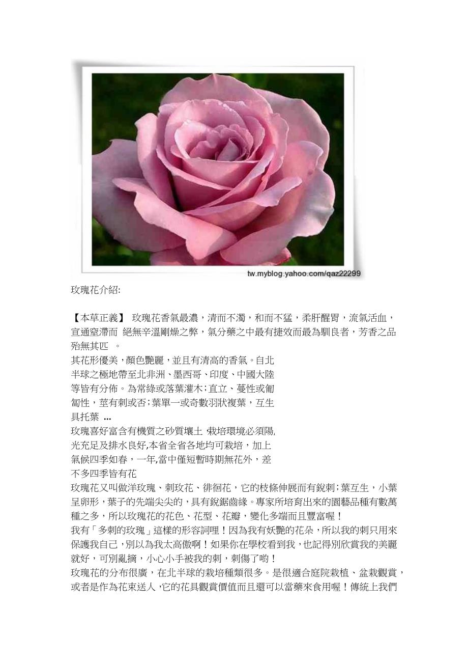 关於玫瑰花的种类及其意义