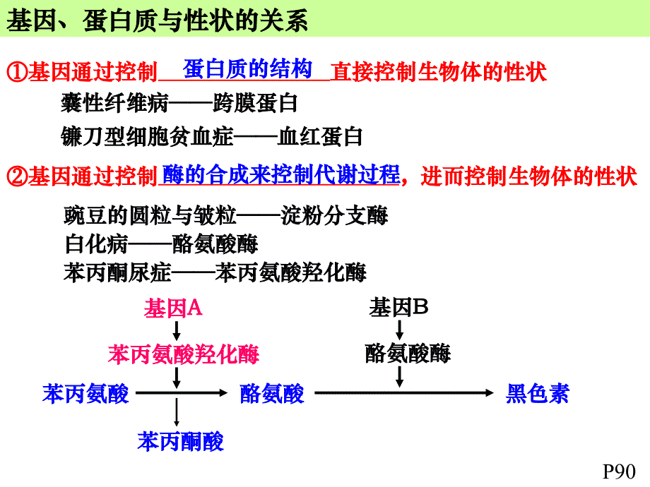 市场营销 1,提出者,一,中心法则的提出及其发展,2,发展逆转录,揭示了