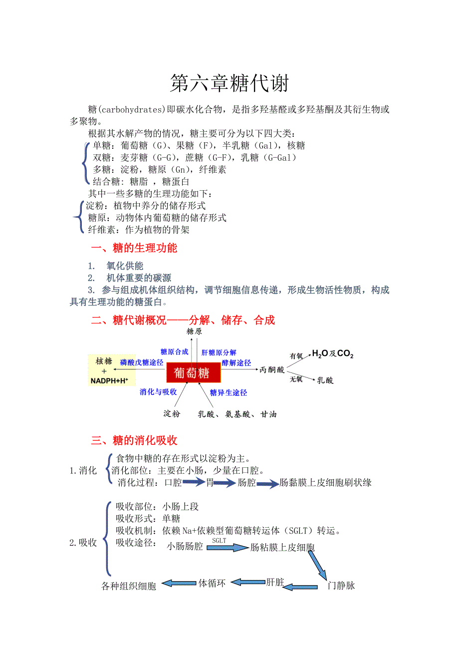 生物化学糖代谢知识点总结_图文