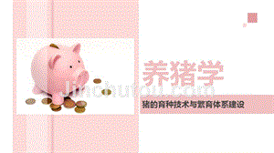 养猪学：猪的育种技术与繁育体系建设
