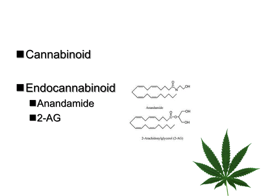 endocannabinoidsystem内源性大麻素系统