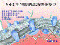 4-2生物膜的流动镶嵌模型