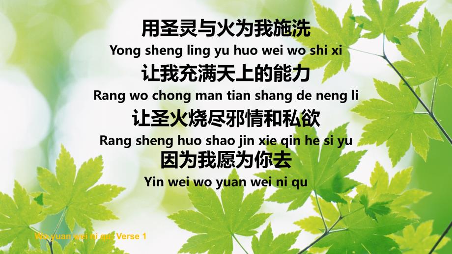 我愿为你去歌词图片