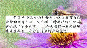 【人教部编版】三年级下语文《14 蜜蜂》优质公开课课件