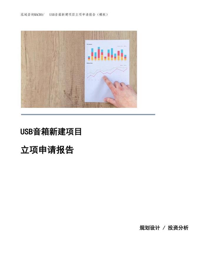 USB音箱新建项目立项申请报告（模板）