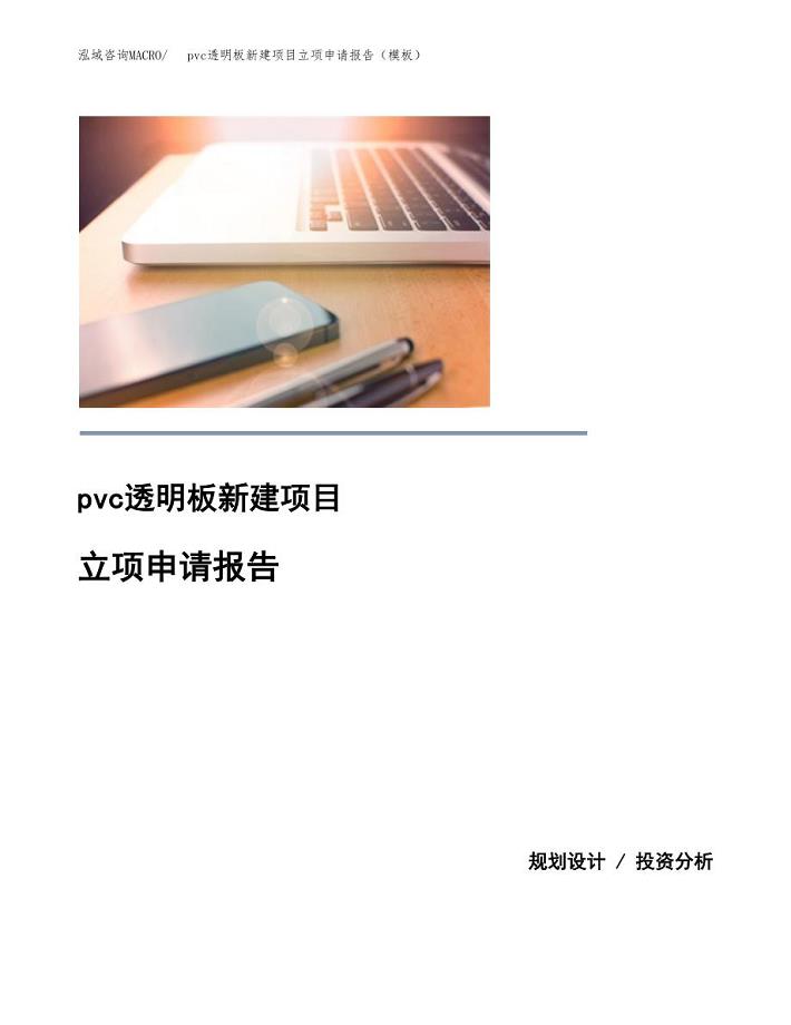 pvc透明板新建项目立项申请报告（模板）