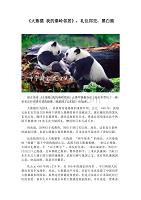 《大熊猫 我的秦岭邻居》 礼仪邦交 大白熊